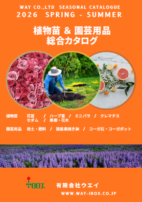 カタログダウンロード