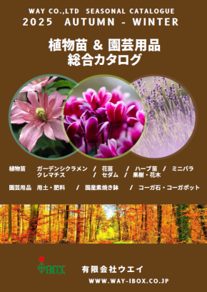 カタログダウンロード